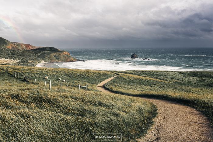 New Zealand