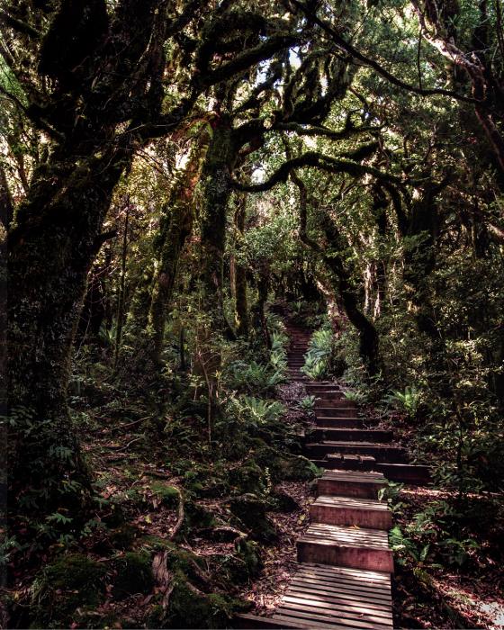 Mount Taranaki, New Zealand
