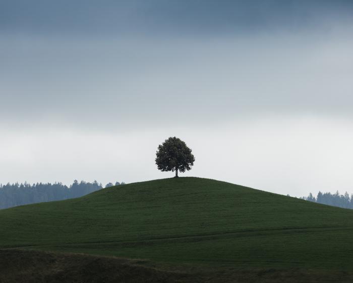 Switzerland