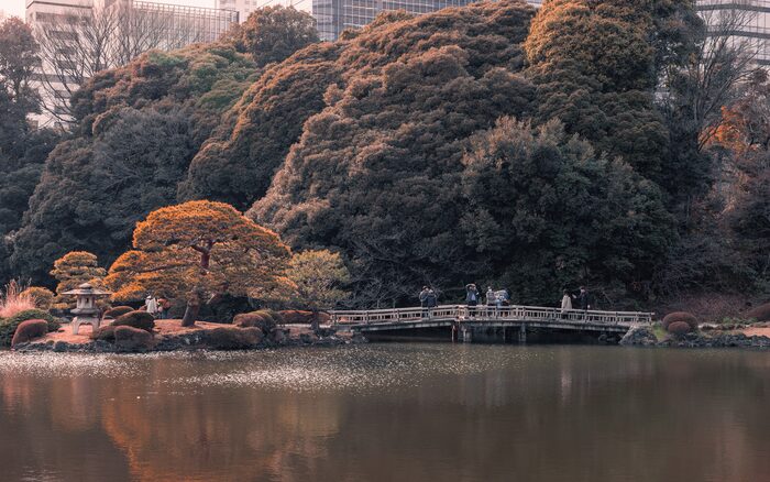Shinjuku Gyoen National Garden, Tokyo, Japan